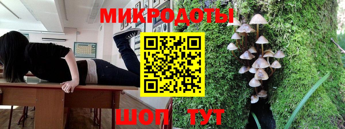 Псилоцибиновые грибы Cubensis  Вход с VPN  Прохладный 