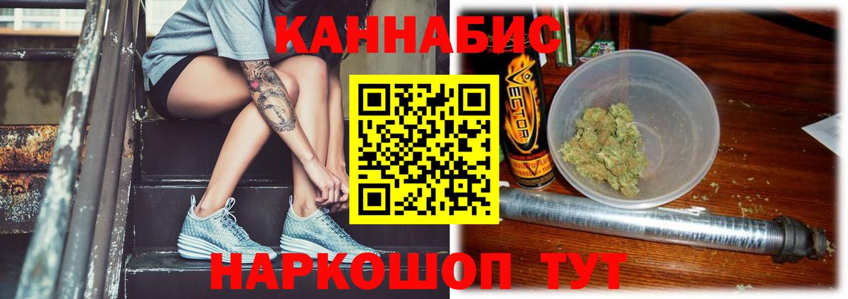 МАРИХУАНА сатива Прохладный